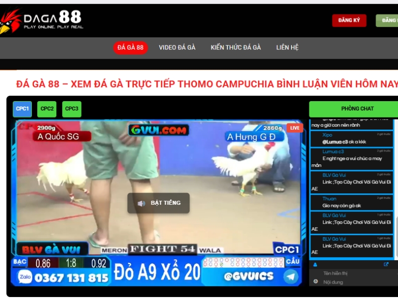 Đá Gà 88 là sân chơi cá cược trực tuyến hàng đầu hiện nay