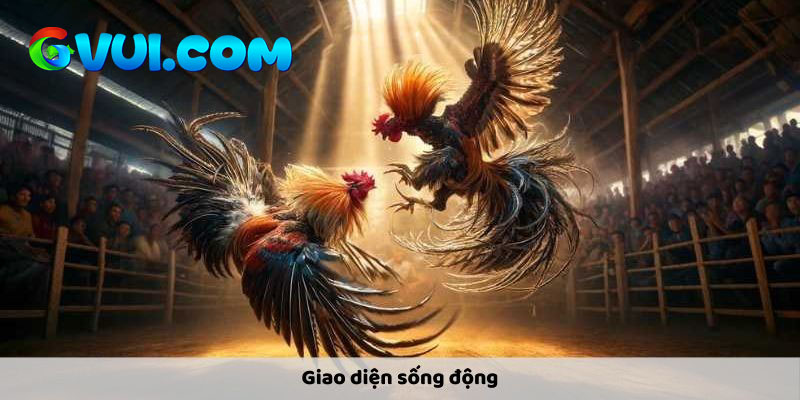 Giao diện sống động