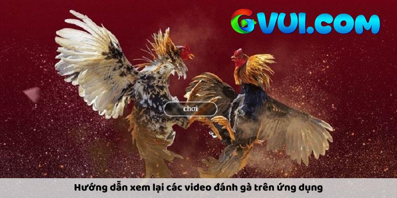 Hướng dẫn xem lại các video đánh gà trên ứng dụng