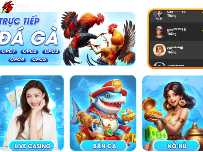 Ưu điểm nổi bật khi tham gia chơi tại Đá Gà 88